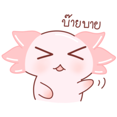 Axolotl yae