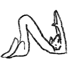 Wandering cat2