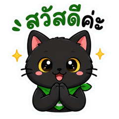 AdminBlackCat