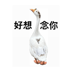 Jean_20260523231641
