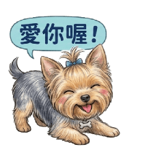 親親約克夏Honey Dog