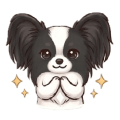 蝴蝶犬QQ-日常用語1