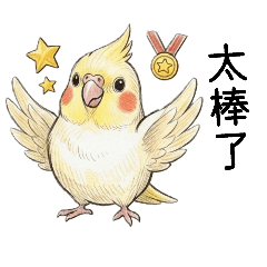 親親玄鳯Honey Cockatiel