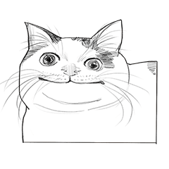 Cat Meme is good