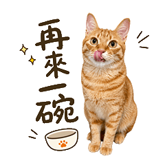 顏家3貓日常