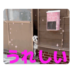 ben_20260701192052