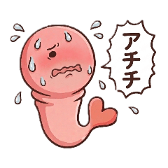 achichi_cy