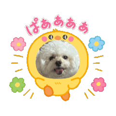 naruchan_20260701230439