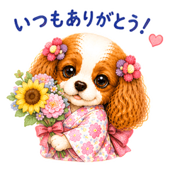 Cavalier Sakura Summer