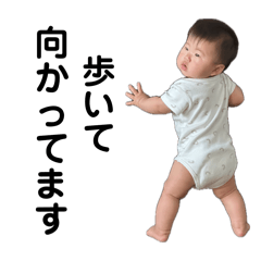 HACHI_20260629120638