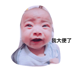 我是小立委