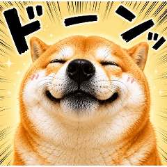 Joyful Shiba Inu