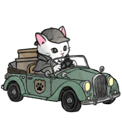 Cat Detective