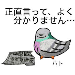 Tori / Birds