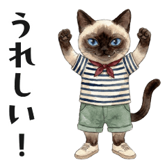 Fashionable Pointed Cat Vol.1