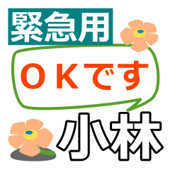 Emergency use[kobayashi,kohayashi]name