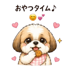 Mogu Mogu  Shih  Tzu2