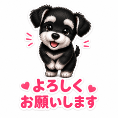 Fluffy Black Schnauzer's Little Words