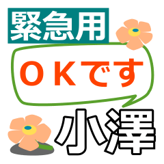 Emergency use[ozawa,osawa]name Sticker