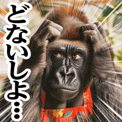move!!! mother gorilla Kansai