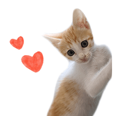Babuchan Keita