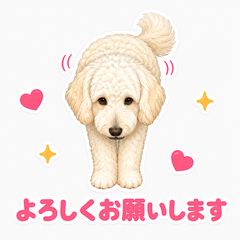Creamy Doodle's Daily Feelings