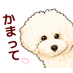 yuka_20260628000243