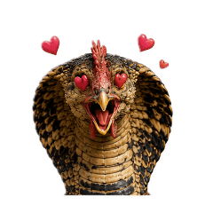 Cobra Chicken
