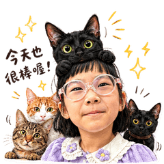 M.&Y. 5Cat4.0