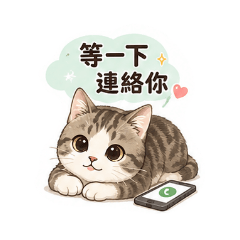 小小灰貓咪