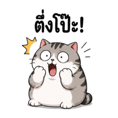 Chub tabby cat 2