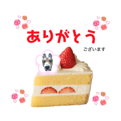 Pigu stamps summer