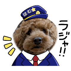 hamu_20260626185408