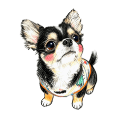 mchupoo_20260626190606