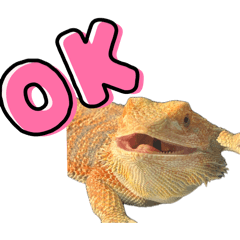 yukari_20260626201206