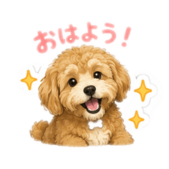 aya_20260626203621