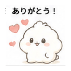MOKO_20260626213712
