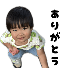 RISA_20260626215412