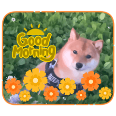 yurikarinto_20260626222242