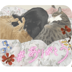 Bell_n01