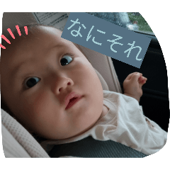 fumi_20260626222627