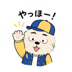 BRO_20260626222557