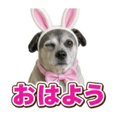 MUTSUKO_20260627070516