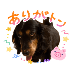 shuto_20260627075643