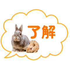 azukichi_20260627080402