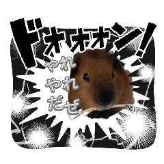 hiroki_20260627091735