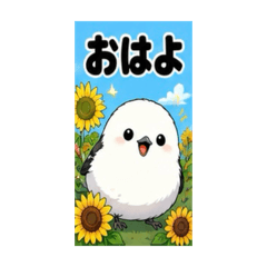 alice papa_202606271