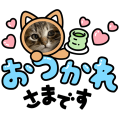 a-chan_20260627104531