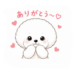 Aoi_20260627104032
