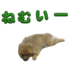 happy_20260627114006